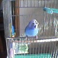 20130409200926