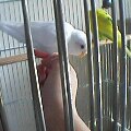 20130409201037
