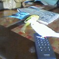 20130409201112