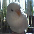 20130409201743
