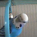 f:id:hirotaka72:20130409204810j:image
