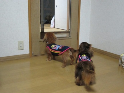 f:id:hirotaka72:20140628205603j:plain f:id:hirotaka72:20140628205603j:plain