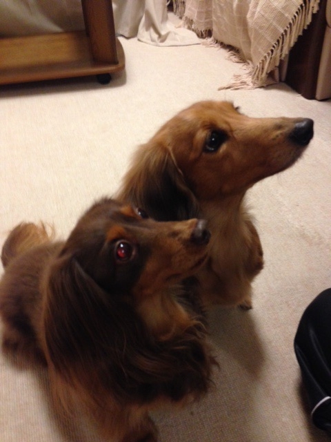 f:id:hirotaka72:20150126231836j:image:w360