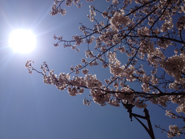 f:id:hirotaka72:20150413191012j:plain
