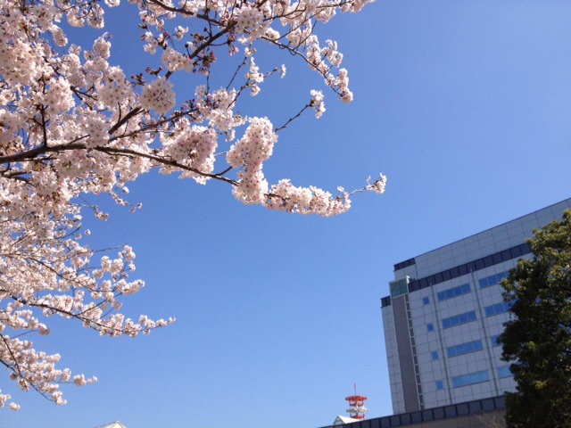 f:id:hirotaka72:20150413191013j:plain