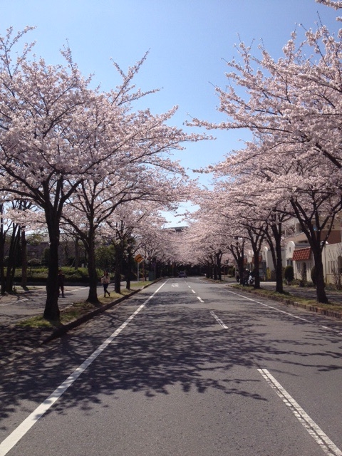 f:id:hirotaka72:20150413191015j:image:w360