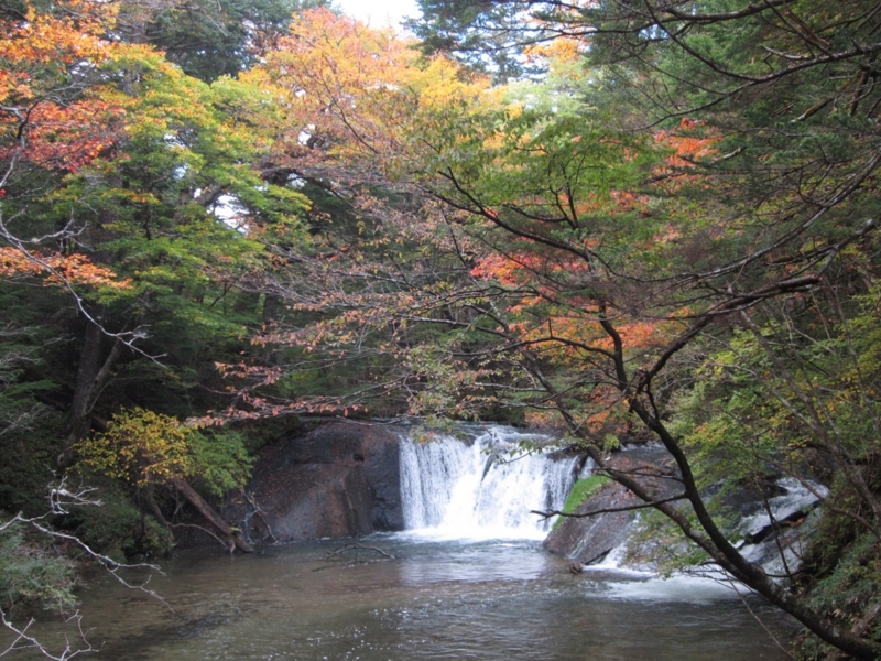 f:id:hirotaka72:20151004143618j:plain