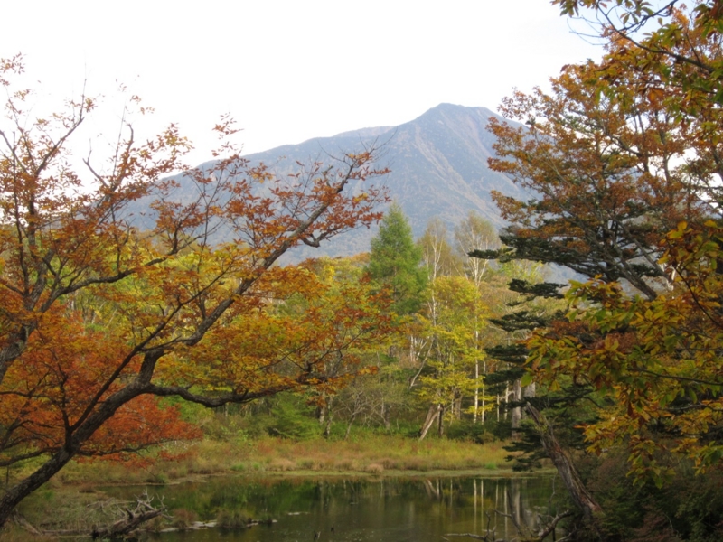 f:id:hirotaka72:20151004145819j:plain
