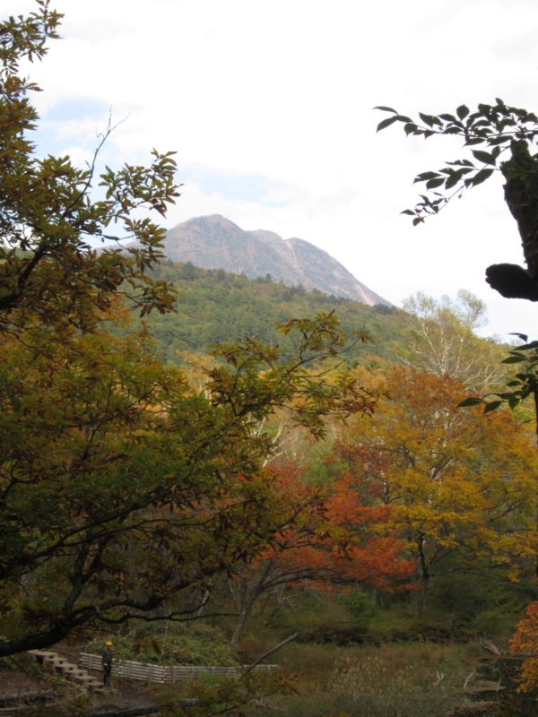 f:id:hirotaka72:20151004150026j:image:w215