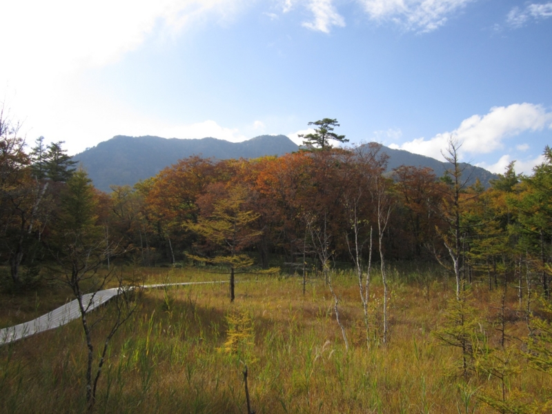 f:id:hirotaka72:20151004151702j:plain