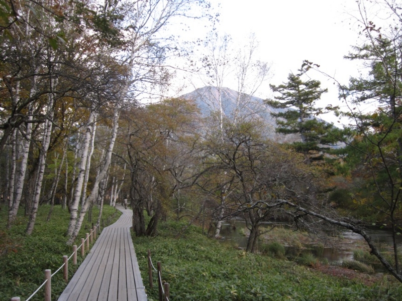 f:id:hirotaka72:20151004154148j:image:w380