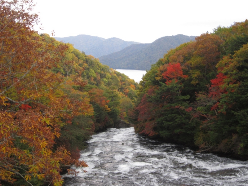 f:id:hirotaka72:20151004162920j:image:w380