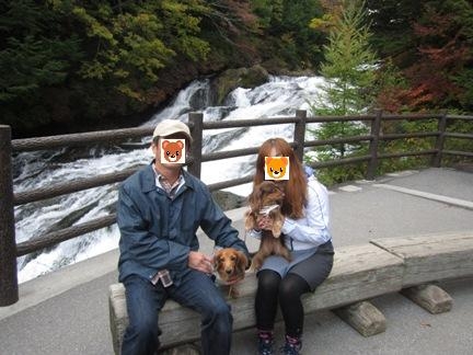 f:id:hirotaka72:20151004163834j:plain