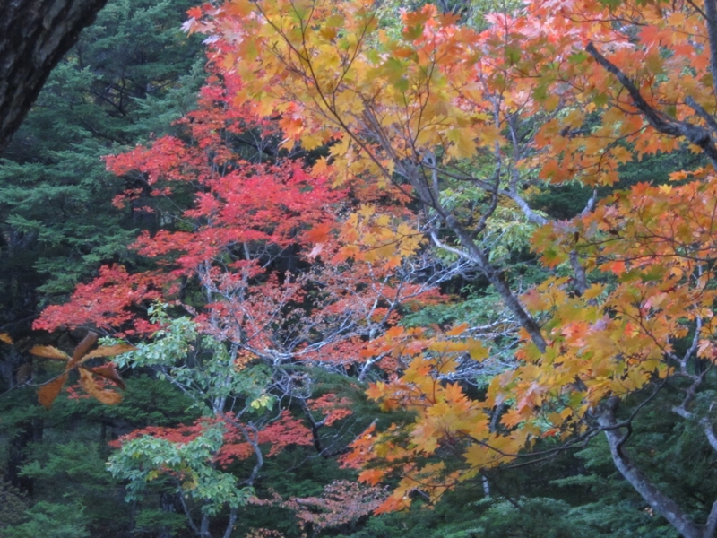 f:id:hirotaka72:20151004164357j:plain