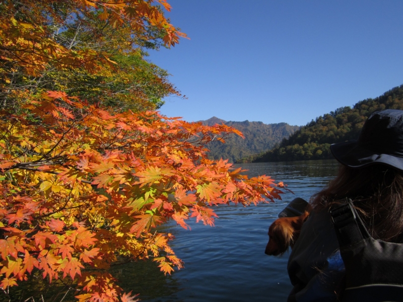 f:id:hirotaka72:20151012090454j:plain