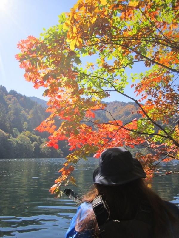 f:id:hirotaka72:20151012100615j:plain