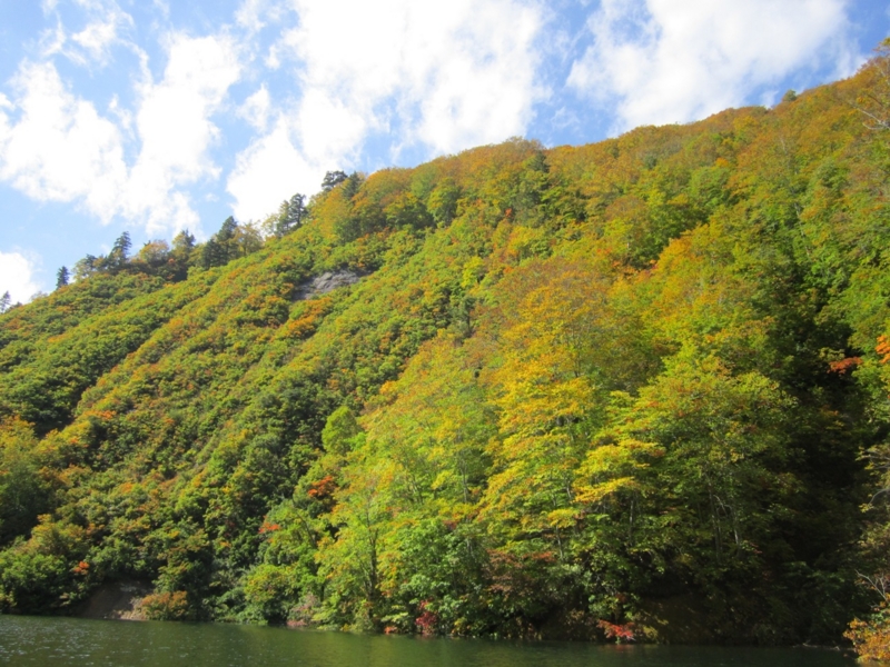 f:id:hirotaka72:20151012120403j:plain