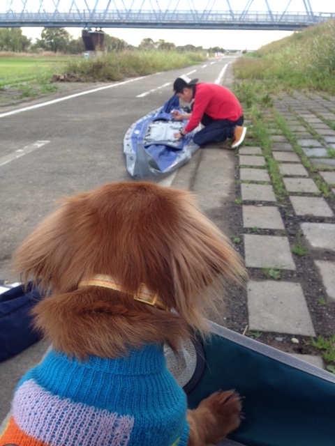 f:id:hirotaka72:20151115142419j:image:w215
