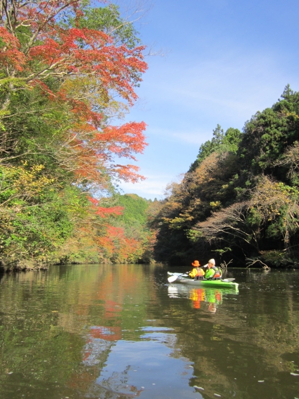 f:id:hirotaka72:20151129103251j:image:w215
