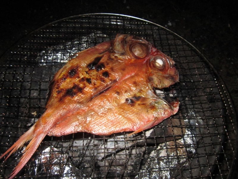 f:id:hirotaka72:20151205201944j:plain