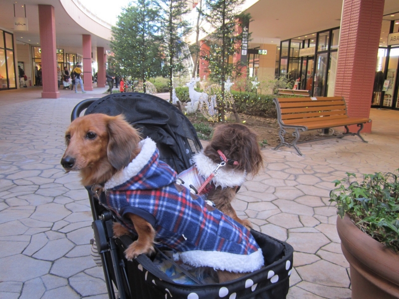 f:id:hirotaka72:20160207132207j:plain