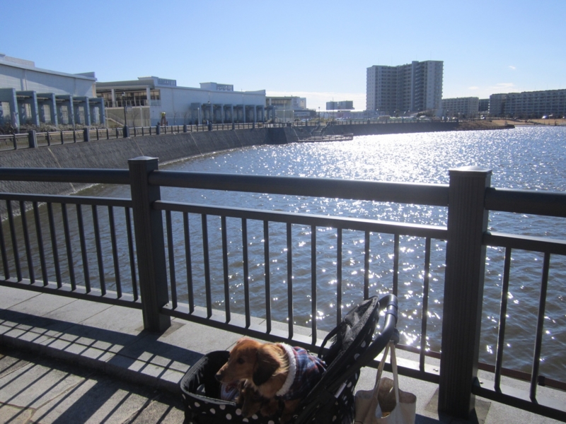 f:id:hirotaka72:20160207132550j:plain