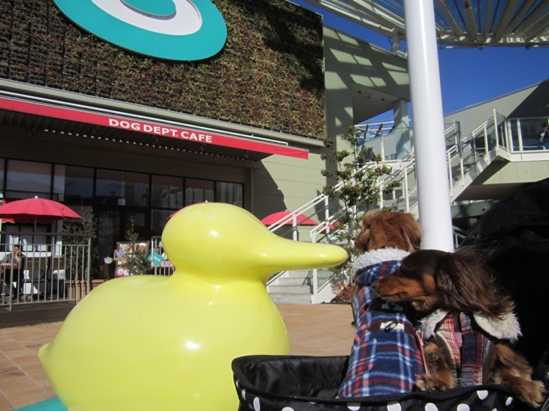 f:id:hirotaka72:20160207134016j:plain