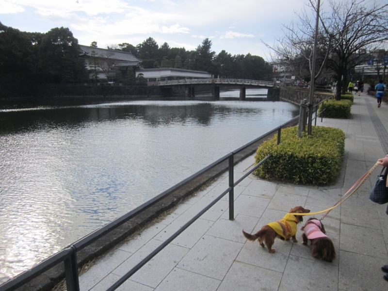 f:id:hirotaka72:20160213145716j:image:w415