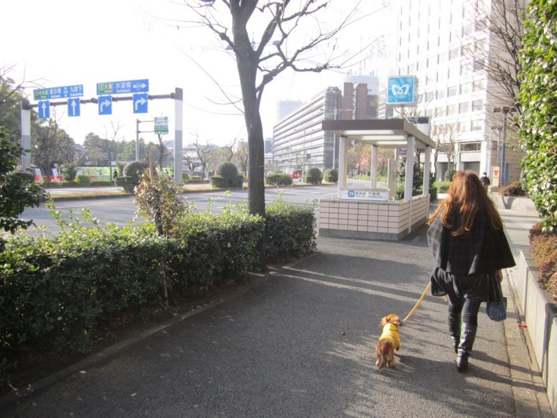 f:id:hirotaka72:20160213152903j:plain