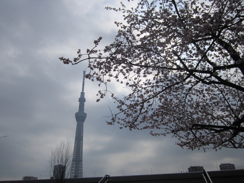 f:id:hirotaka72:20160305094227j:plain