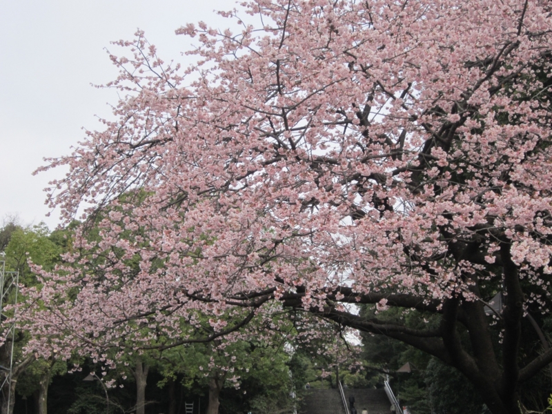 f:id:hirotaka72:20160305100335j:plain