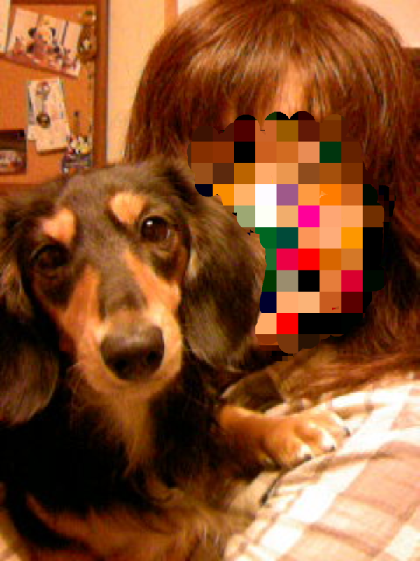 f:id:hirotaka72:20160307204841p:image:w240