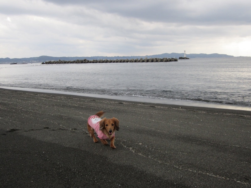 f:id:hirotaka72:20160312143610j:plain