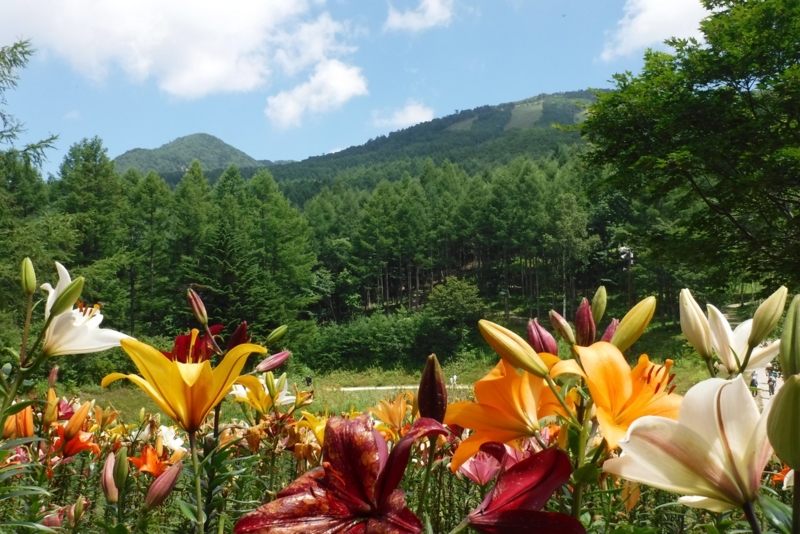f:id:hirotaka72:20160730123945j:plain