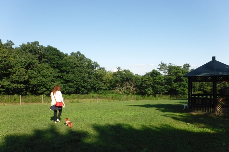 f:id:hirotaka72:20160730155046j:plain