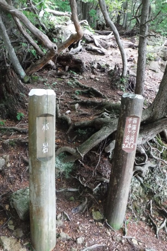 f:id:hirotaka72:20161002110524j:image:w200