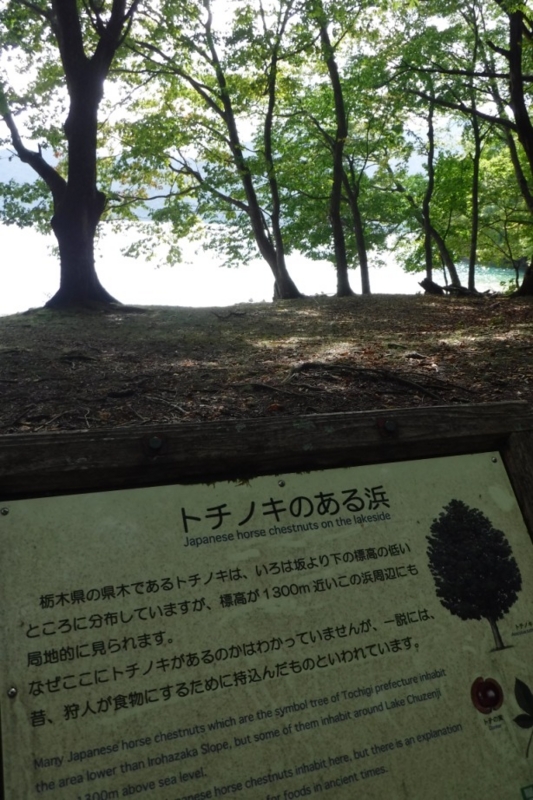 f:id:hirotaka72:20161002112851j:image:w200