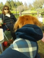 20161105114050
