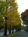 20161111150201