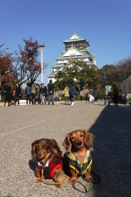 f:id:hirotaka72:20161207100633j:plain f:id:hirotaka72:20161207100633j:plain