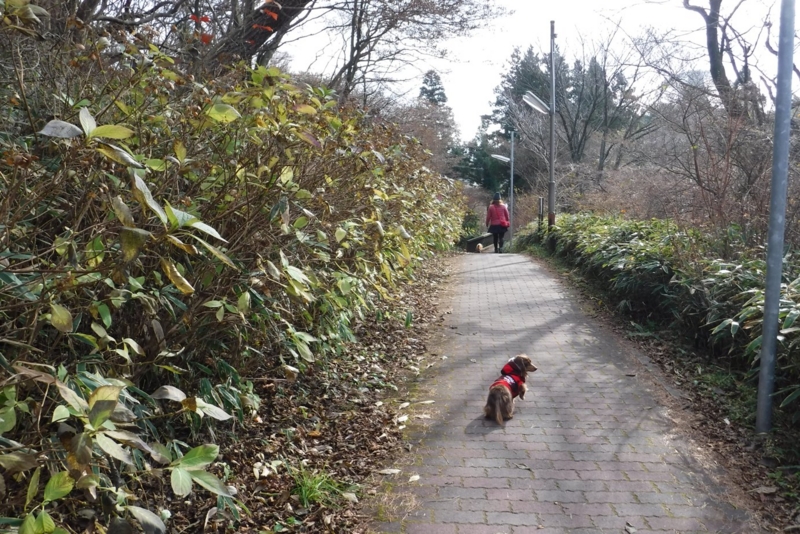 f:id:hirotaka72:20161208130628j:image:w450