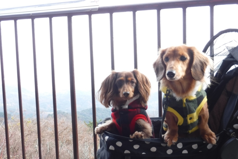 f:id:hirotaka72:20161208131312j:plain