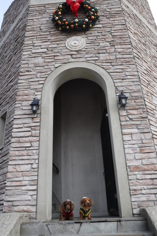 f:id:hirotaka72:20161208133836j:plain