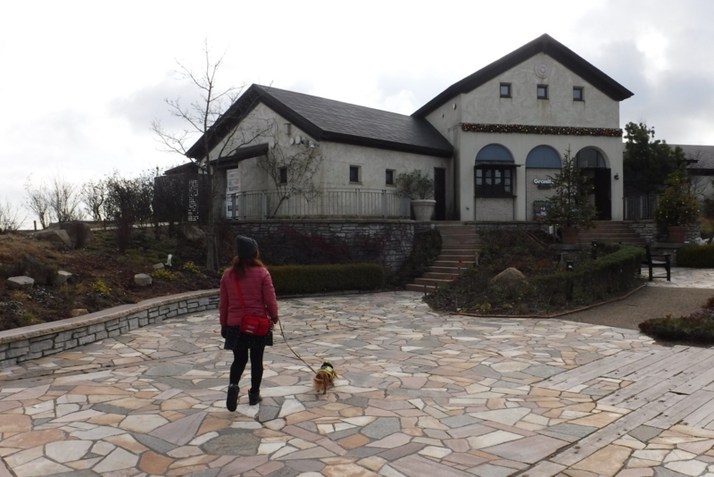 f:id:hirotaka72:20161208133907j:plain