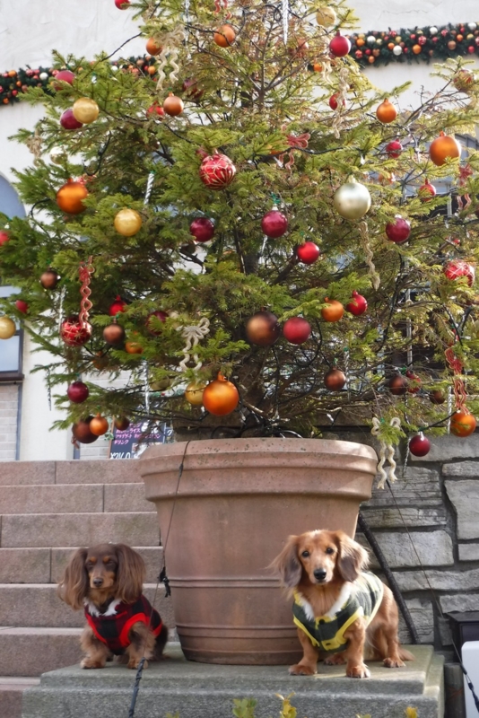 f:id:hirotaka72:20161208134044j:plain