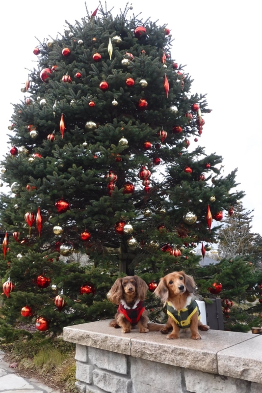 f:id:hirotaka72:20161208134141j:plain