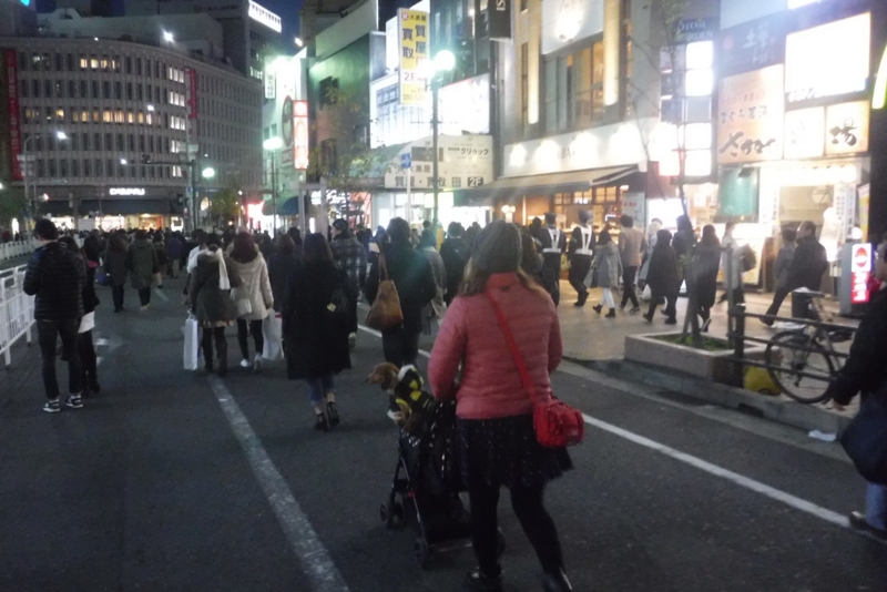 f:id:hirotaka72:20161208171622j:image:w317