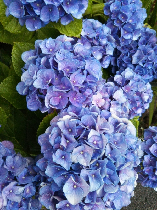 f:id:hirotaka72:20170613173945j:plain