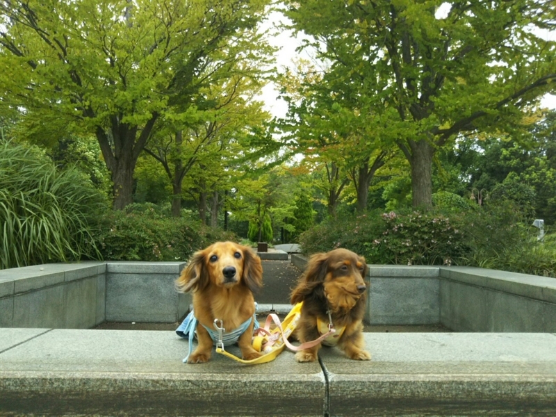 f:id:hirotaka72:20170819165602j:plain