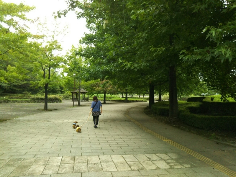 f:id:hirotaka72:20170819170023j:plain